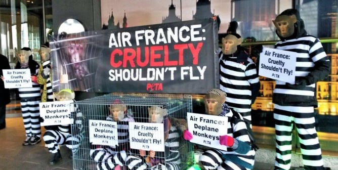 monkey protest against air france