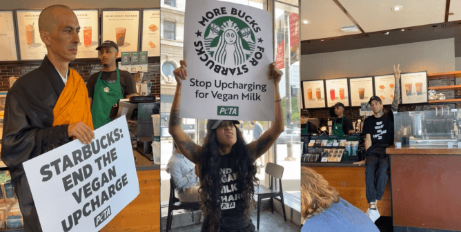 Update: Superglued Buddhist Monk, Other PETA Supporter Arrested at Chicago Starbucks
