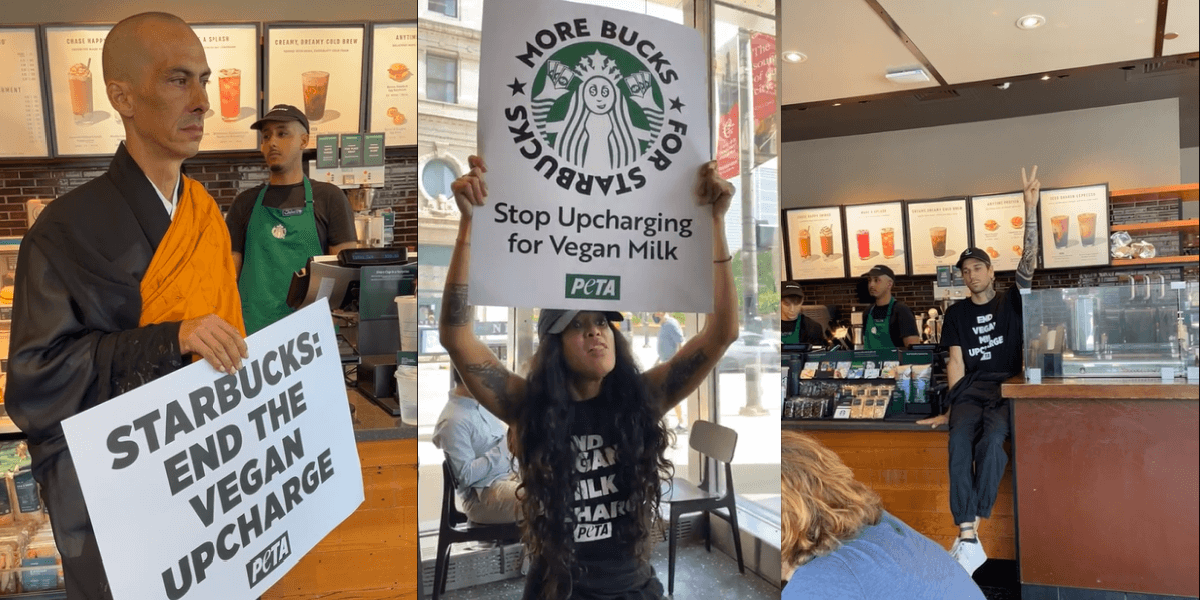 Superglued Buddhist Monk Arrested at Chicago Starbucks PETA