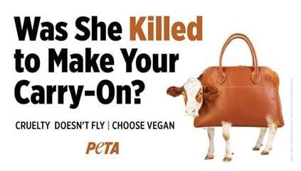‘Cruelty Doesn’t Fly’: Provocative PETA Appeal Takes Over Local Airport | PETA