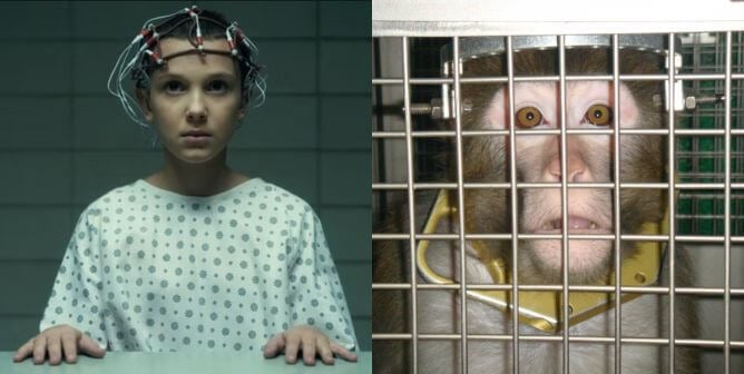 7 Reasons the ‘Stranger Things’ Lab Is Just Like Real Labs | PETA