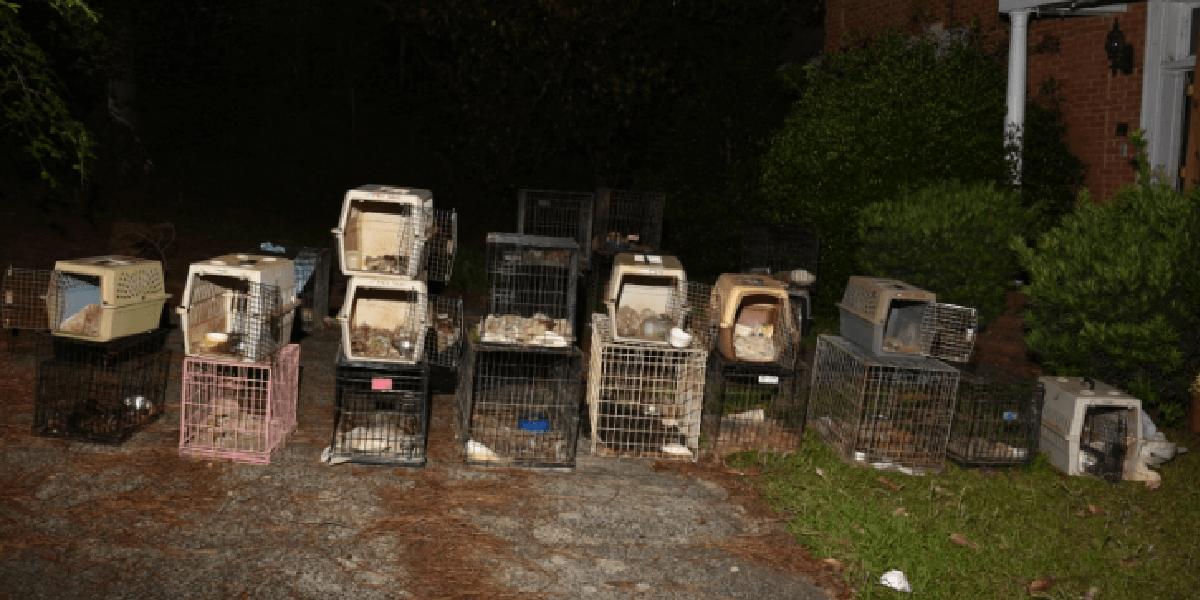 30 Dead, Decomposing Animals Found at South Carolina ‘Rescue’ | PETA
