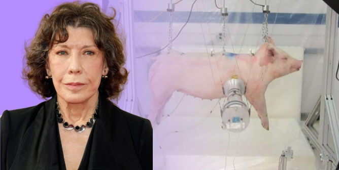 Join Lily Tomlin in Asking Ford to Ban Crash Tests Using Animals