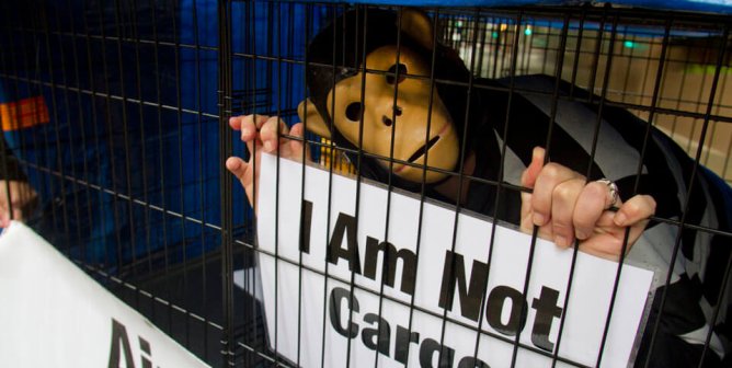 PETA: Why Is the CDC Allowing Tuberculosis-Infected Monkeys Into the U.S.?