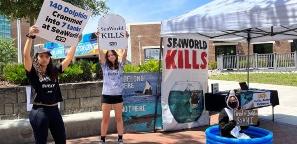 Students Raise Ruckus Over University’s SeaWorld Ticket Sales