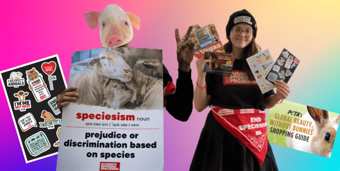 Keep Teens Active for Animals All Summer Long With SOS
