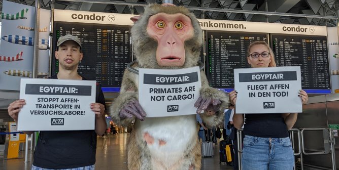Protesters at airport against EGYPTAIR monkey shipments