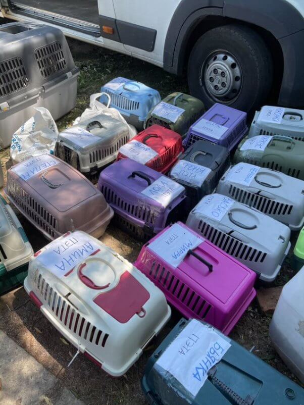 Crates that held animals rescued from Ukraine sit outside the transport truck
