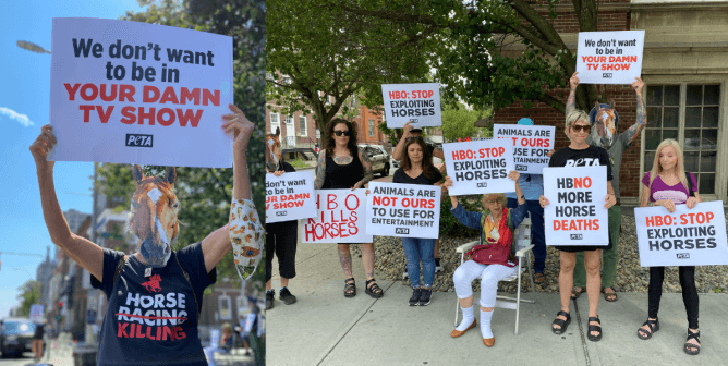 PETA’s ‘Horses’ Protested HBO’s ‘The Gilded Age’ in the Wake of Whistleblower Reports Alleging Mistreatment
