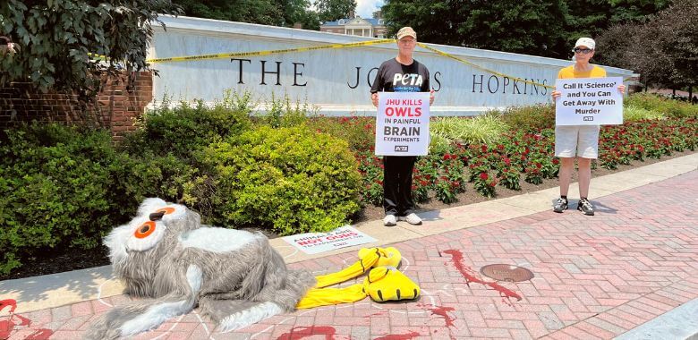 ‘Dead Owls’ Haunt Johns Hopkins University