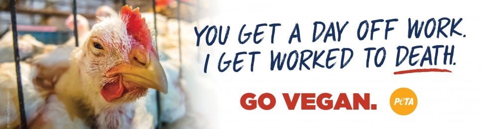 You Get A Day Off Work. I Get Worked To Death. Go Vegan. (Chicken)