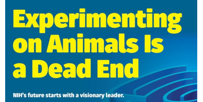 NIH: Experimenting On Animals Is A Dead End (New Leader)