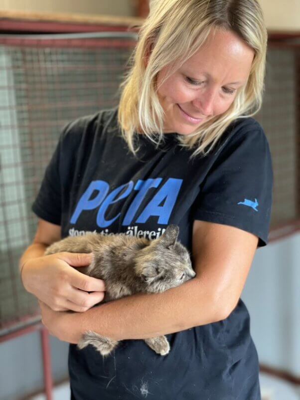 A PETA Germany rescuer holds a young cat recently rescued by the team from Ukraine