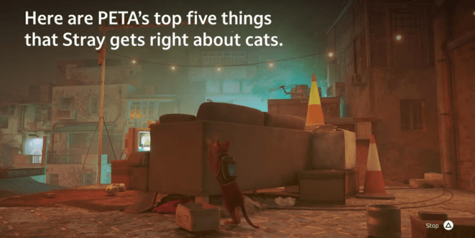 PETA Names the Top Things That Hit Video Game ‘Stray’ Gets Right About Cats