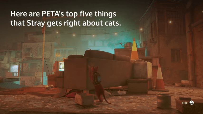 The 5 Reasons Stray Is Going to Be One of the Best Cat Games Ever