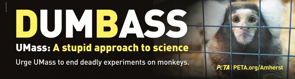 UMass: A Stupid Approach To Science (Billboard)