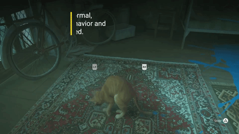 stray cat game gif - cat scratching
