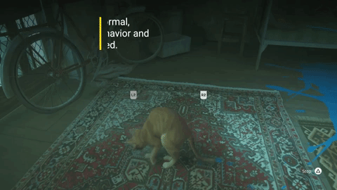 Stray : Video Games