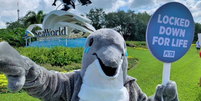 Dolphin costumed protester at SeaWorld with sign that says "Locked down for life"