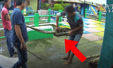 Step Away From the Birkin Bag! Your Crocodile Purse and Snakeskin Boots Have a Disturbing Past