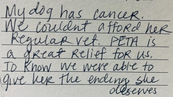 Runt's family wrote PETA a thank you note after staff helped Runt, an elderly dog with cancer, peacefully pass with our end-of-life services.