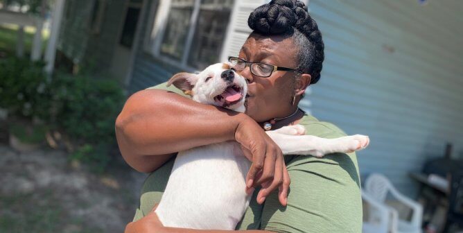 Injured Cats, Starving Sheep, and Chained Dogs: PETA Fieldworkers Help Them All