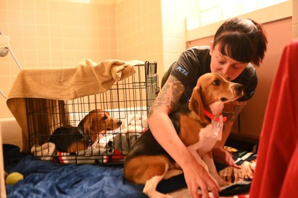 CAP worker hugging rescued beagle