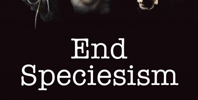 End Speciesism (Sheep, Cow, Pig)