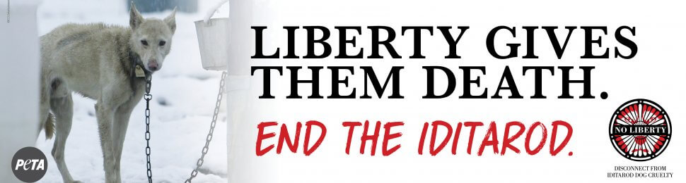 Liberty Gives Them Death. End The Iditarod.