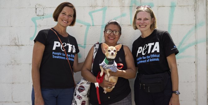PETA Latino Hosts Its Biggest Spay/Neuter Event Yet, in Cancún