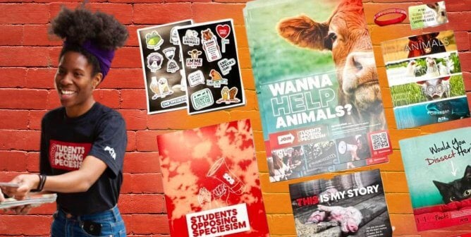 Headed Back to School? Order a FREE SOS Activism Kit to End Speciesism on Campus!