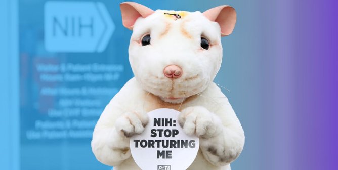 PETA Files Groundbreaking Suit Against NIH, HHS Over Sepsis Experiments on Animals