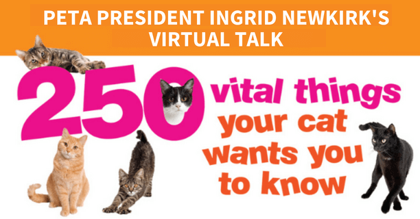 Free Event! Let Ingrid Newkirk ‘Whisker’ You Away to the Secret World of Cats