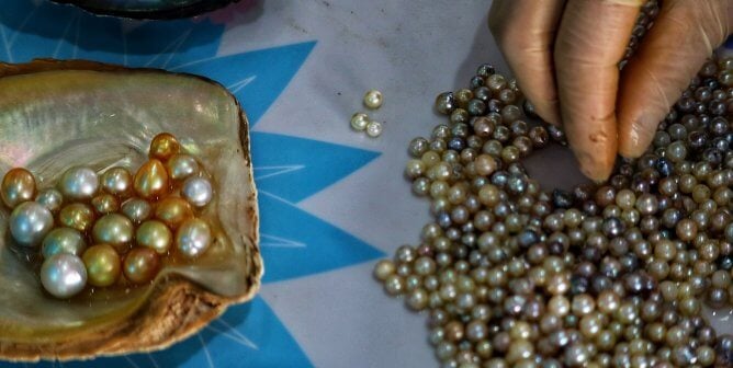 Are Pearls Vegan? Here's What You Should Know