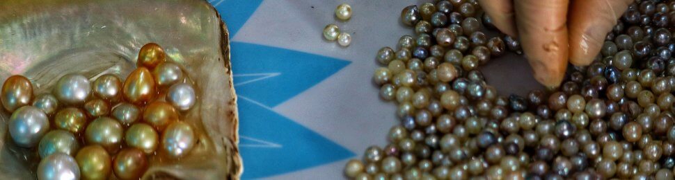 a person's hand sifting through a pile of cultured pearls