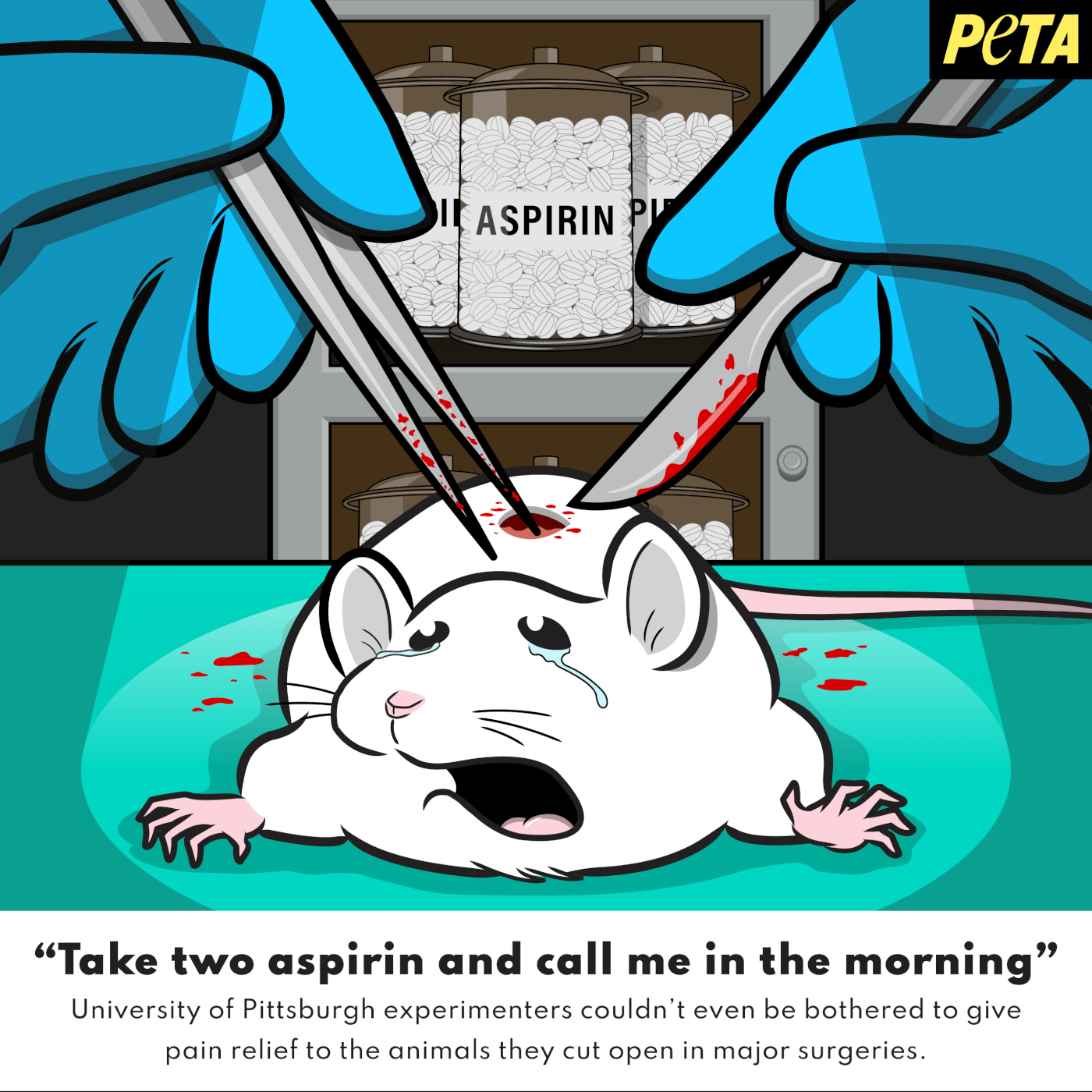 An illustration of a crying mouse being operated on by gloved hands, and text reading "Take to aspirin and call me in the morning": University of Pittsburgh experimenters couldn't even be bothered to give pain relief ot the animals they cut open in major surgeries.