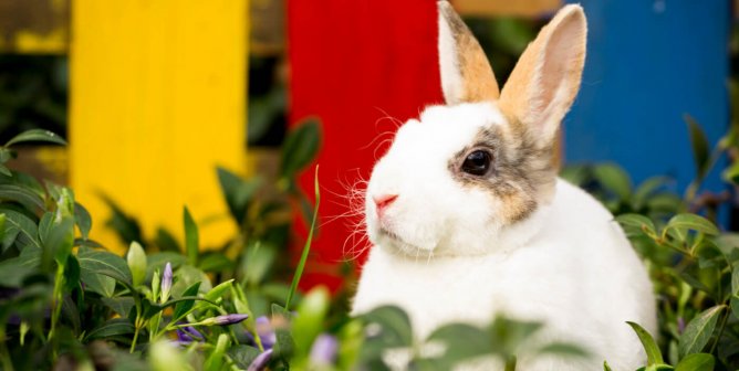 Cruelty-Free Makeup: These Brands DON’T Test on Animals