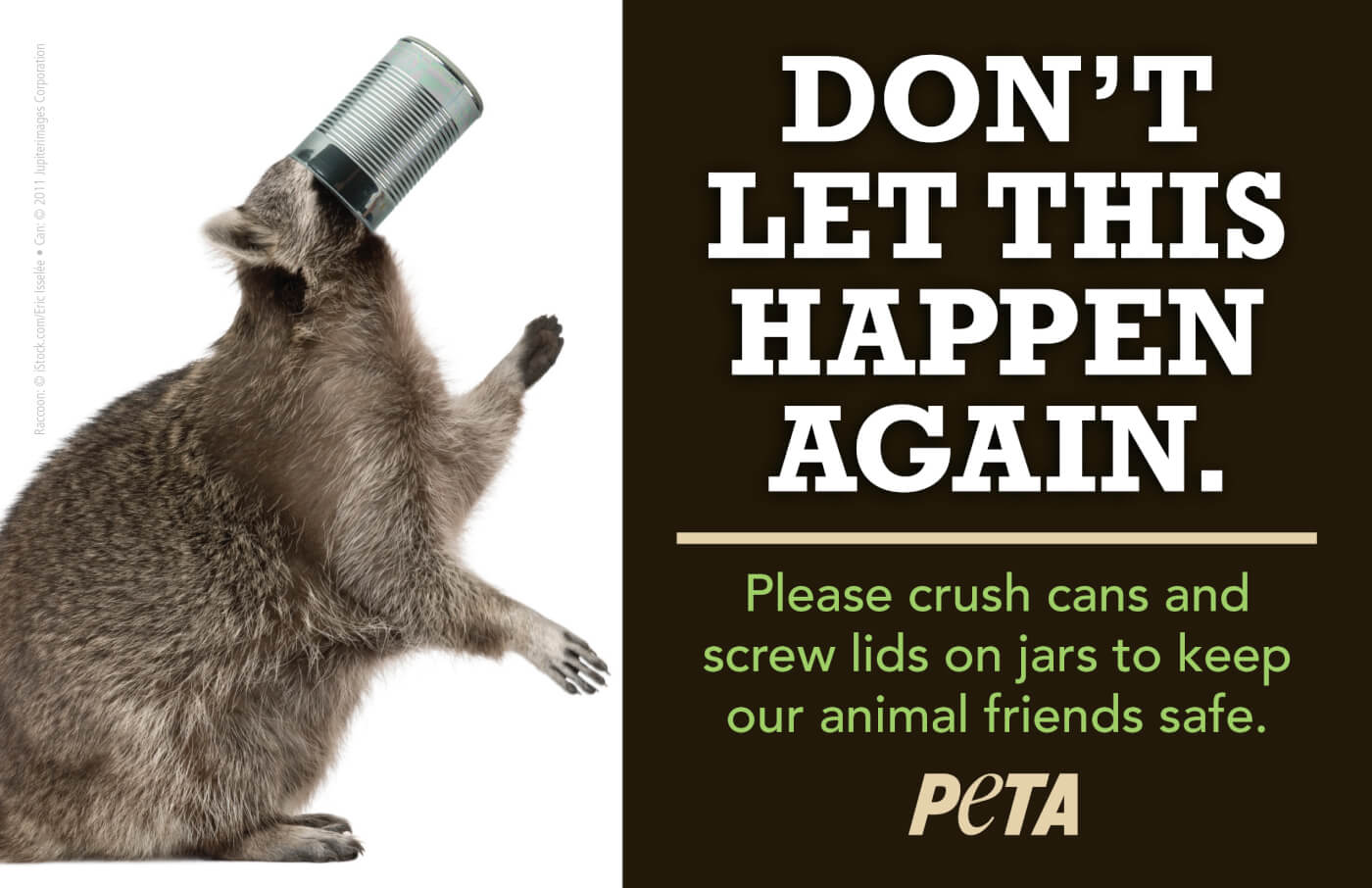 An image of a racoon with their face stuck in an aluminum pop-lid can with text reading: "Don't Let This Happen Again. Please crush cans and screw lids on jars to keep our animal friends safe. PETA"