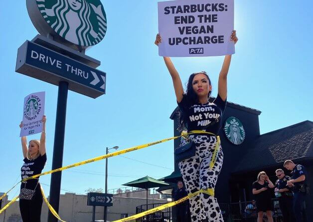 PETA Supporters Encased in Concrete Shut Down Local Starbucks