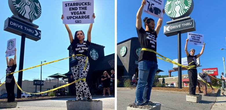 PETA Supporters Encased in Concrete Shut Down Coffee Chain Location