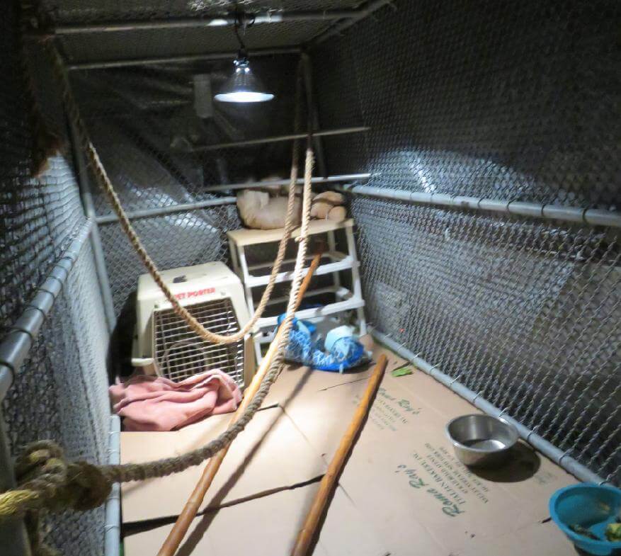 Sloth Encounters sloth kept by Larry Wallach in a makeshift cage inside his cluttered garage