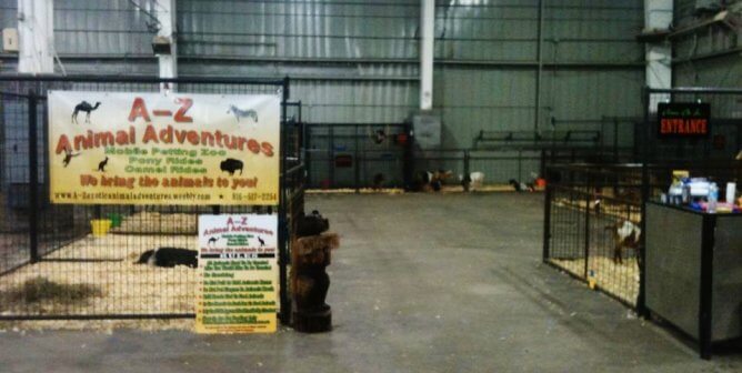 Coconspirator in Tonka’s Kidnapping Cited for Reckless Exotic-Animal Show