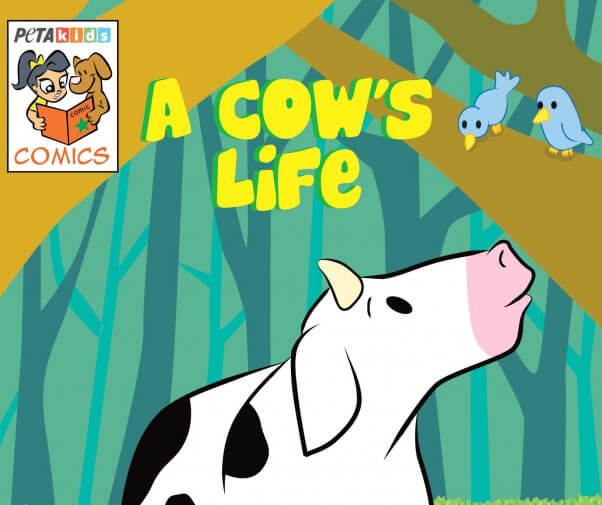 A cows life cropped Easy Ways You Can Support TeachKind