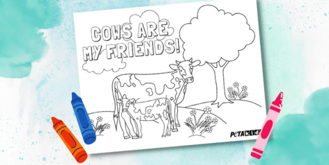 Help Your Kid Show Their Heart for Cows With Art From PETA Kids