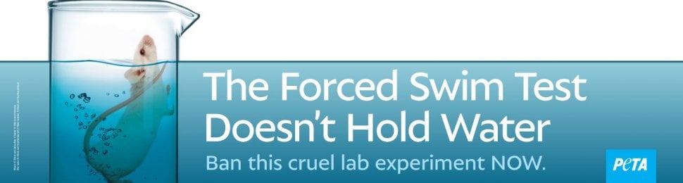 The Forced Swim Test Doesn’t Hold Water