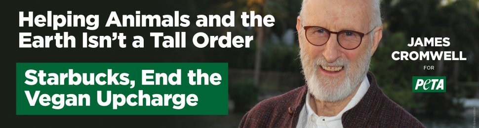 James Cromwell: Starbucks, End the Vegan Upcharge