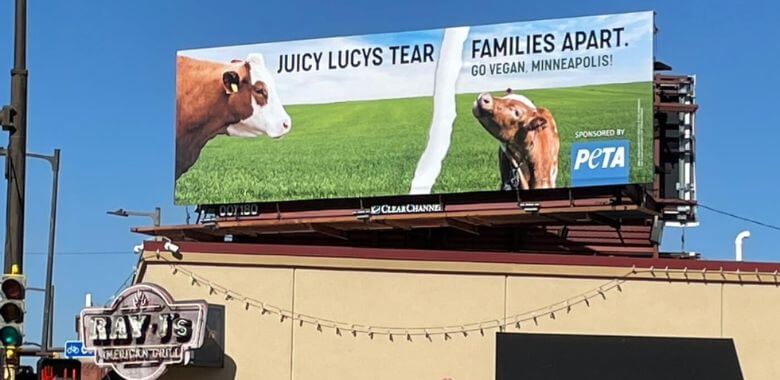 PETA’s Plea for Cow Families Takes On Juicy Lucys