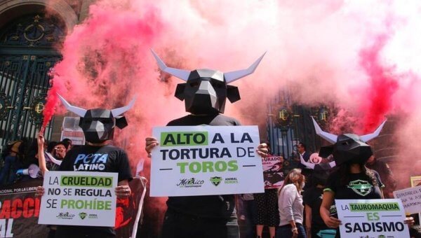 PETA latino bull fight protest