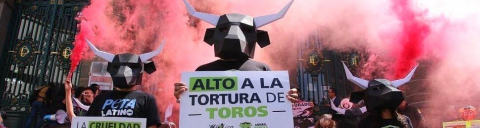 PETA latino bull fight protest