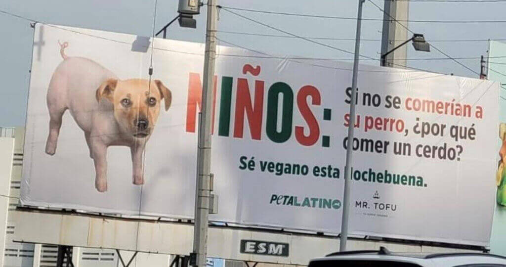 PL Billboard Pig Dog Christmas Mexico JR VS PO 1024x540 1 PETA Latino’s Victories for Animals